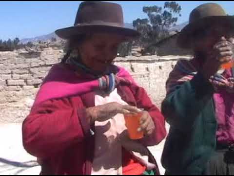 CAMARONCITO DEL RIO PROYECTO VISION ANDINA