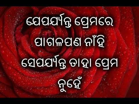 Feeling Sad Love Shayari Romantic Shayari Odia Love Shayari