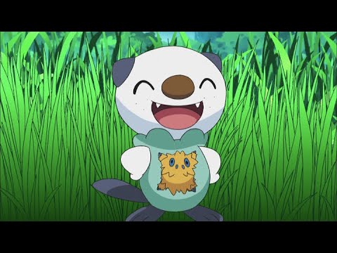 La vieira perdida de Oshawott | Serie Pokémon Negro y Blanco | Clip oficial