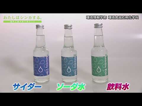 わたしはシンカする。 環境情報学部 環境食品応用化学科
