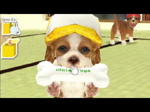 犬飼ってみた　犬派？じじい派？