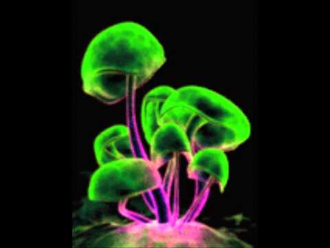 Live Mix by Godi Fabio and Moon  Neelix  kularis  Interactive Noise  Durs  Da Vinci Code 30 04 2015