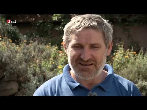 Der Geschmack Europas: Siebenbürgen Doku (2013)