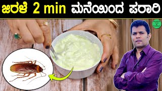 Natural Ways to Get Rid of Cockroaches Permanently | Home & kitchen | Ayurveda Tips in Kannada