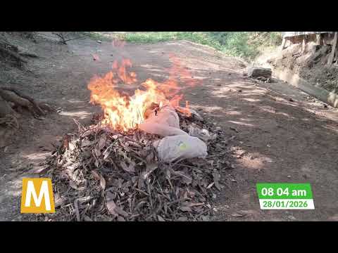 Mujer denuncia acumulación de basuras cerca de un humedal en San José del Guaviare