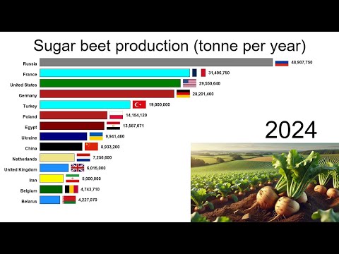 Sugar beet production