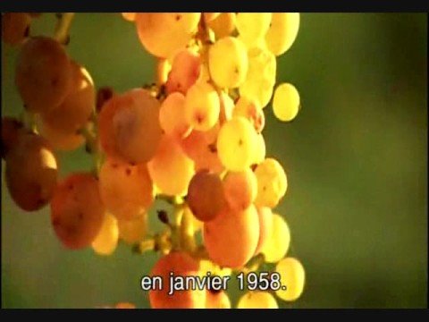 Mondovino (2004) Trailer