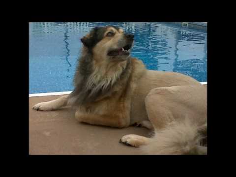 In Memory of Matthew Fosk (2006 - 2016)