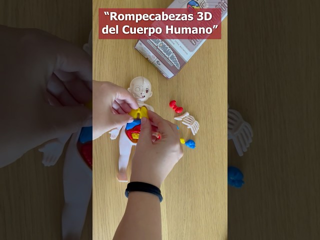 Vídeo relacionado con Jingyash de Lógica,Juegos Educativos de Montaje y Mentales - Juego de Mesa Educativo para Bebés Preescolares Niños y Niñas