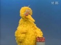 Sesame Street Big Bird Listens