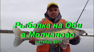 Рыбалка на оби в молчаново