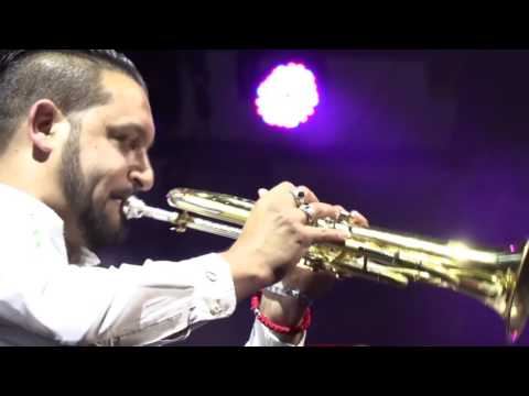 GELEM GELEM/Bojan Krstic Orkestar/ Guca2016