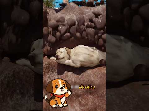 เขาฝังหมาโดยไม่ทันได้ดู!