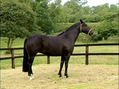 Las Callanas Ligerasa