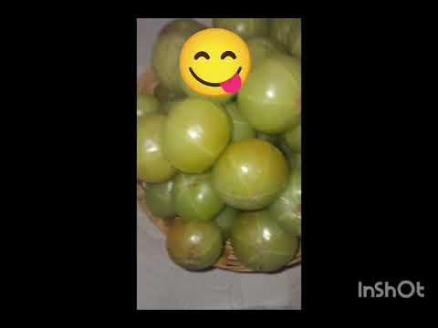 Aamta aabat aavla khatho kavla 😜😜🤣🤣wach and like 