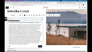 Squarespace AI is here!