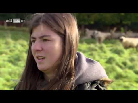Doku 2016 Terra Xpress   Wenn Esel bei Schafen sind und der dicke Nebel kommt HD