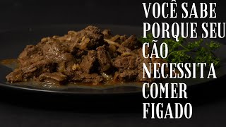 DE MAIS FGADO PARA SEU CACHORRO!