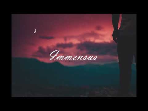 Hinshi, Teqkoi & Ondi Vil - I didn't want you to leave