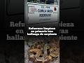 Homepage 1 Video thumbnail
