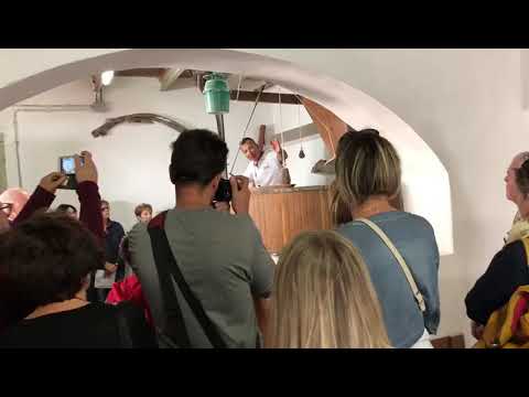 ARTEMIA PRATO - 100 anni del Molino Bardazzi a Vaiano!