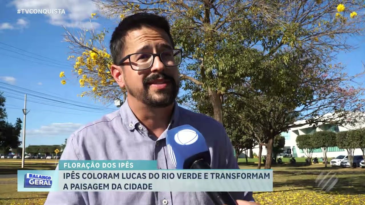 Ipês floridos transformam Lucas do Rio Verde em um espetáculo natural nas ruas da cidade