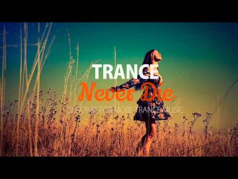 Paul Van Dyk ft. Arty - The Ocean (Original Mix)