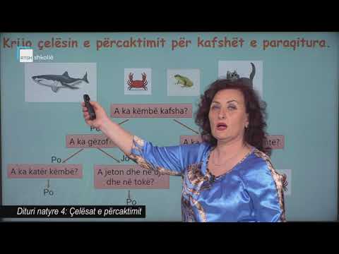 Dituri natyre 4 - Çelësat e përcaktimit