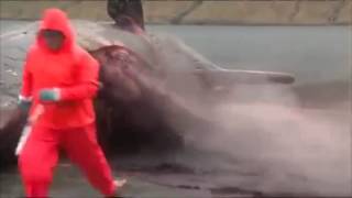 Sperm Whale Explosion SlowMo! w/ Wrecking Ball.