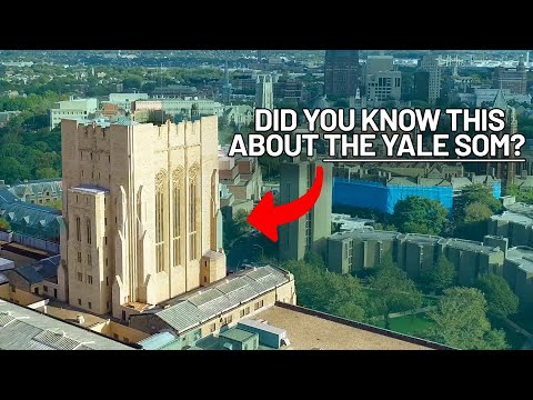 Did You Know These 3 Things About the Yale SOM?