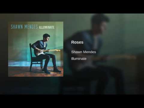 Shawn Mendes - Roses (audio)