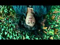 Winterpills - Hi (official)