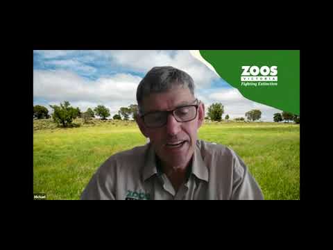 Conservation Conversations 2021 - Eastern Barred Bandicoots and Guardian Dogs