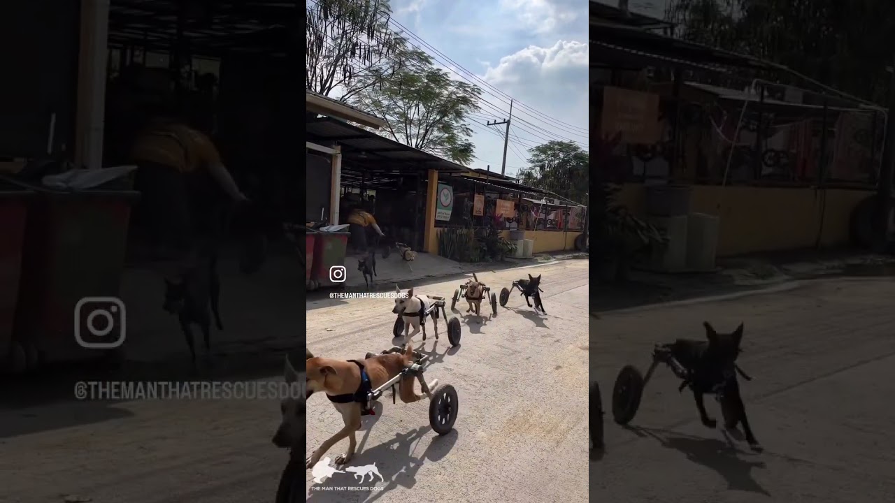 YouTube video preview