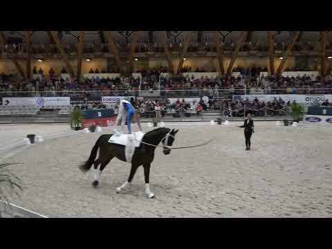 Lara Andrew freestyle