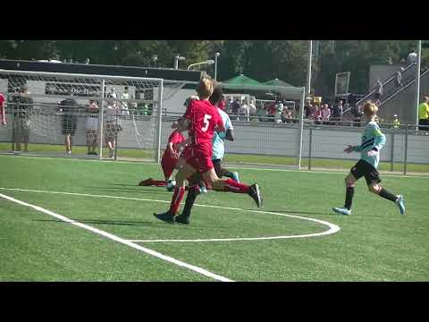 Aad Mansveld cup O 15 Royal Antwerpen - Alphense Boys