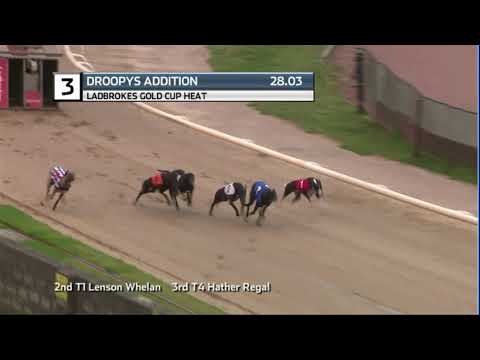 2020 LADBROKES GOLD CUP - HEAT 6 - T3 DROOPYS ADDITION