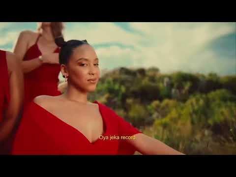 VIBEZ INC. "247" FEAT. SEYI VIBEZ, TML VIBEZ, MUYEEZ, NERRYCKOLE AND BILLION SOLAR OFFICIAL VIDEO