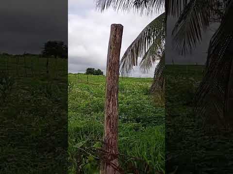 Ibaretama Ceará lugares top demais
