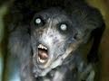 Don't Be Afraid of the Dark | Deutscher Kino ...