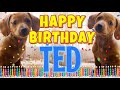 Happy Birthday Ted Funny Talking Dogs What Is Free On My Birthday