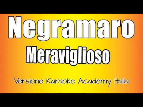 Negramaro -  Meraviglioso (Versione Karaoke Academy Italia)