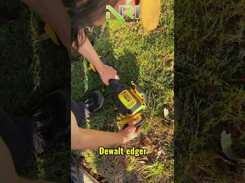 Dewalt edger makes a clean cut on the grass. #dewalt #powertools #grass #shorts #battery