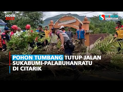 Pohon Tumbang Tutup Jalan Sukabumi-Palabuhanratu di Citarik