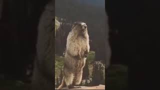 Re: [新聞] 高鐵「寧靜車廂」小孩狂哭！路人氣炸開轟