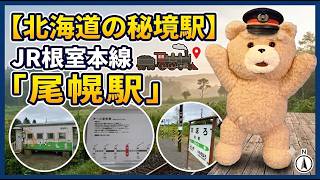 【北海道の秘境駅】JR根室本線「尾幌駅」を探索！貨車駅舎に描かれた可愛い動物たち