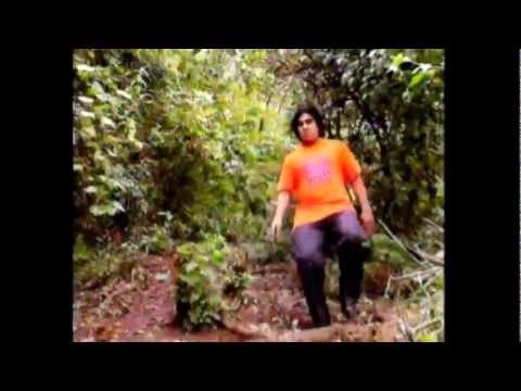 Grupo Green - Voy a Olvidarte