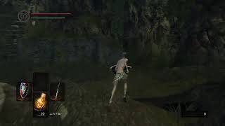 今更ながら初見ダークソウル　part 2