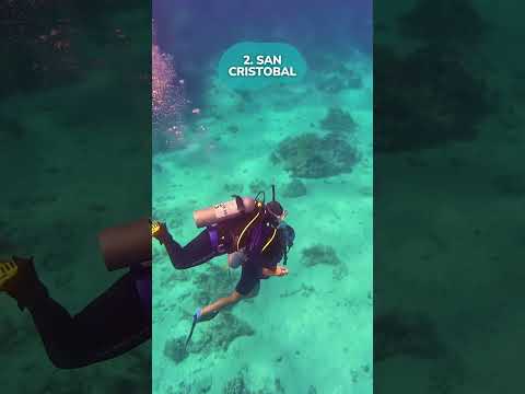 Top 4 Islands to Stay in the Galápagos