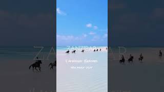 Download lagu 4 Amazing Zanzibar's beaches You must go! mp3 Download lagu 4 Amazing Zanzibar's beaches You must go! mp3